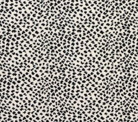 Image of spots #21809 Carpet in Black on 739 White