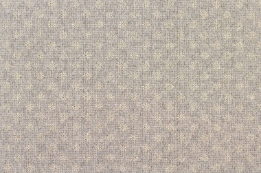 Nova Carpet in Gray on Ecru
