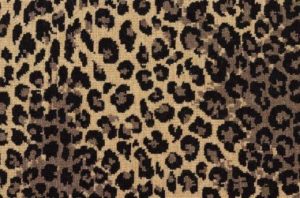 Leopard Black Carpet | Langhorne Carpet Company
