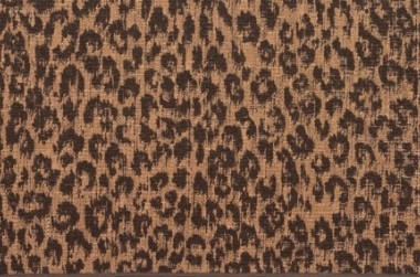 pinched leopard carpet