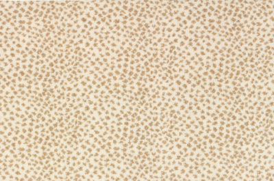 Image of Galaxy #21809 Carpet in Natural on White