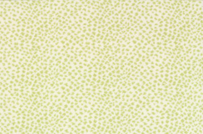 Image of Galaxy #21809 Carpet in Green on White