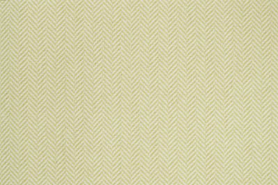 Image of Herringbone #21312 Carpet in Green on White