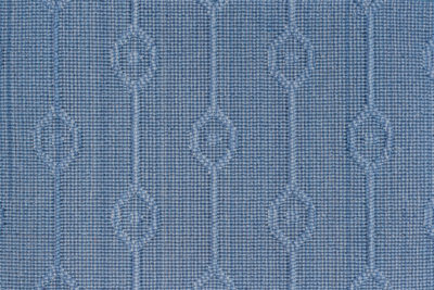 New-Stria Ions Carpet in Blue