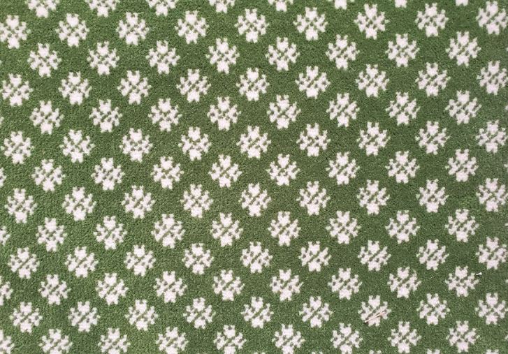 Image of Winter Dreams #22120 Carpet in 739 White on 19184 Green